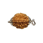 2 Mukhi Rudraksh