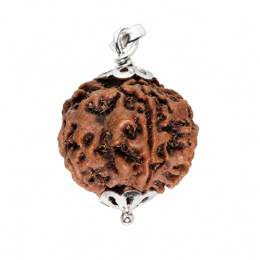 5 Mukhi Rudraksh