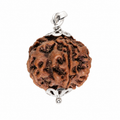 5 Mukhi Rudraksh