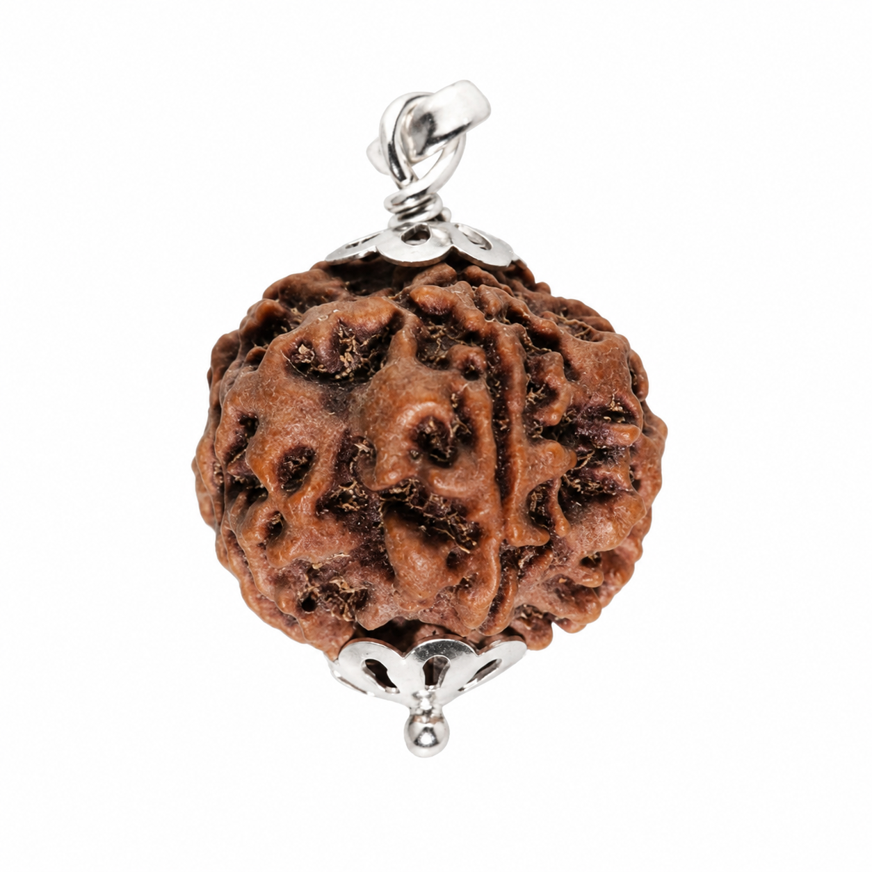 5 Mukhi Rudraksh