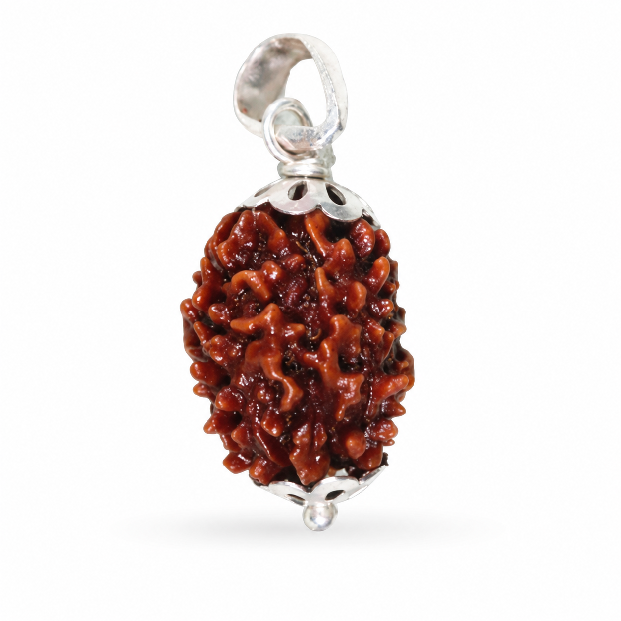 3 Mukhi Rudraksh