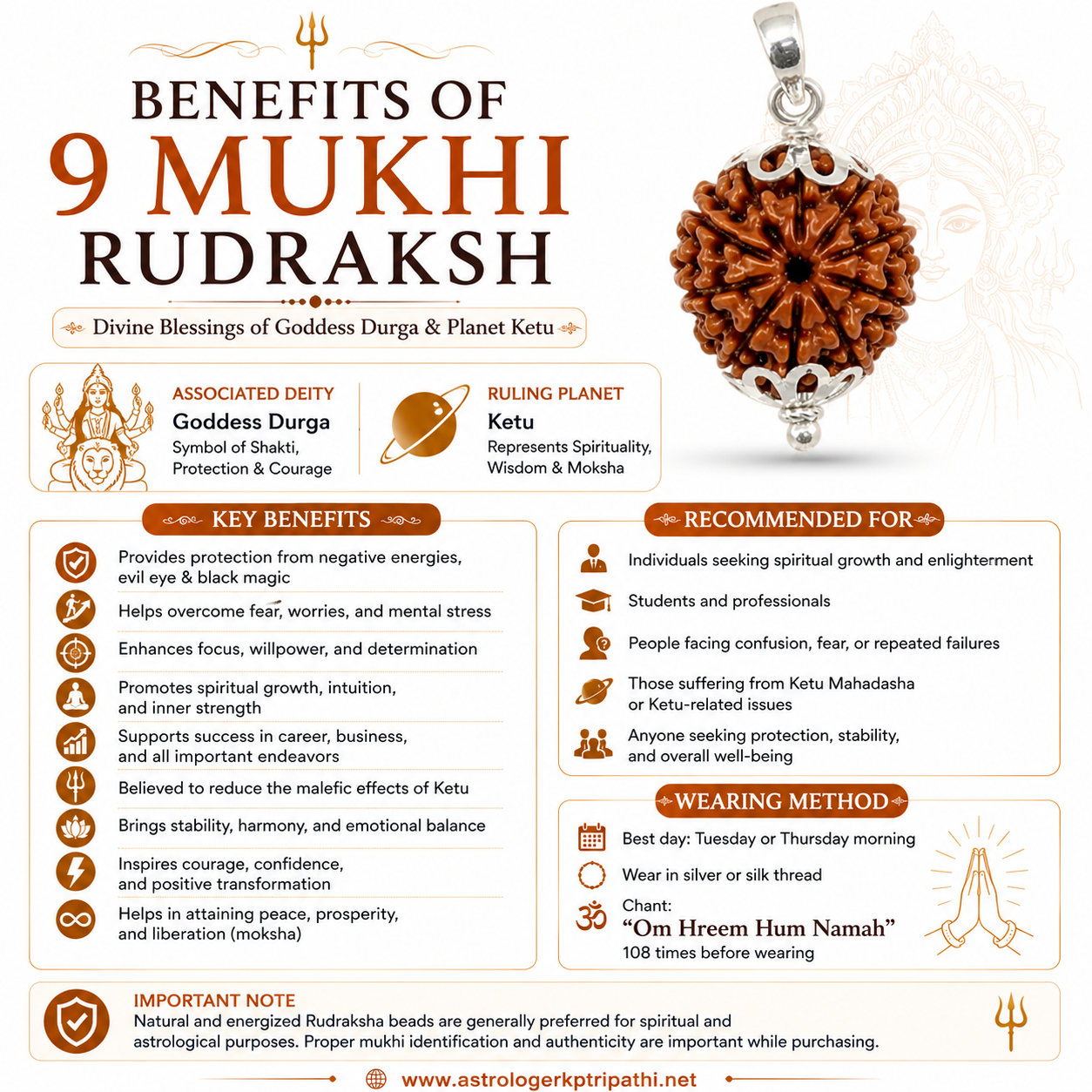9 Mukhi Rudrkash