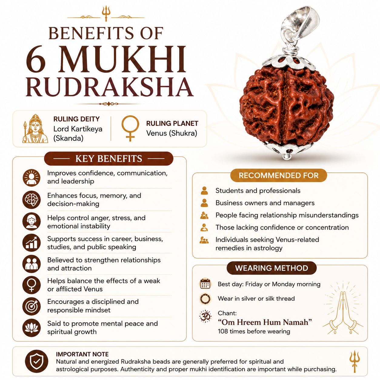 6 Mukhi Rudraksh