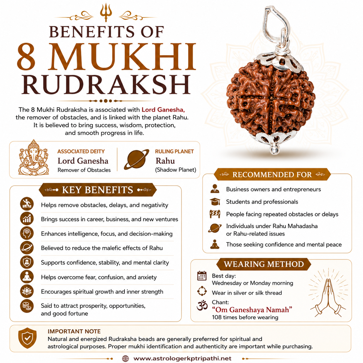 8 Mukhi