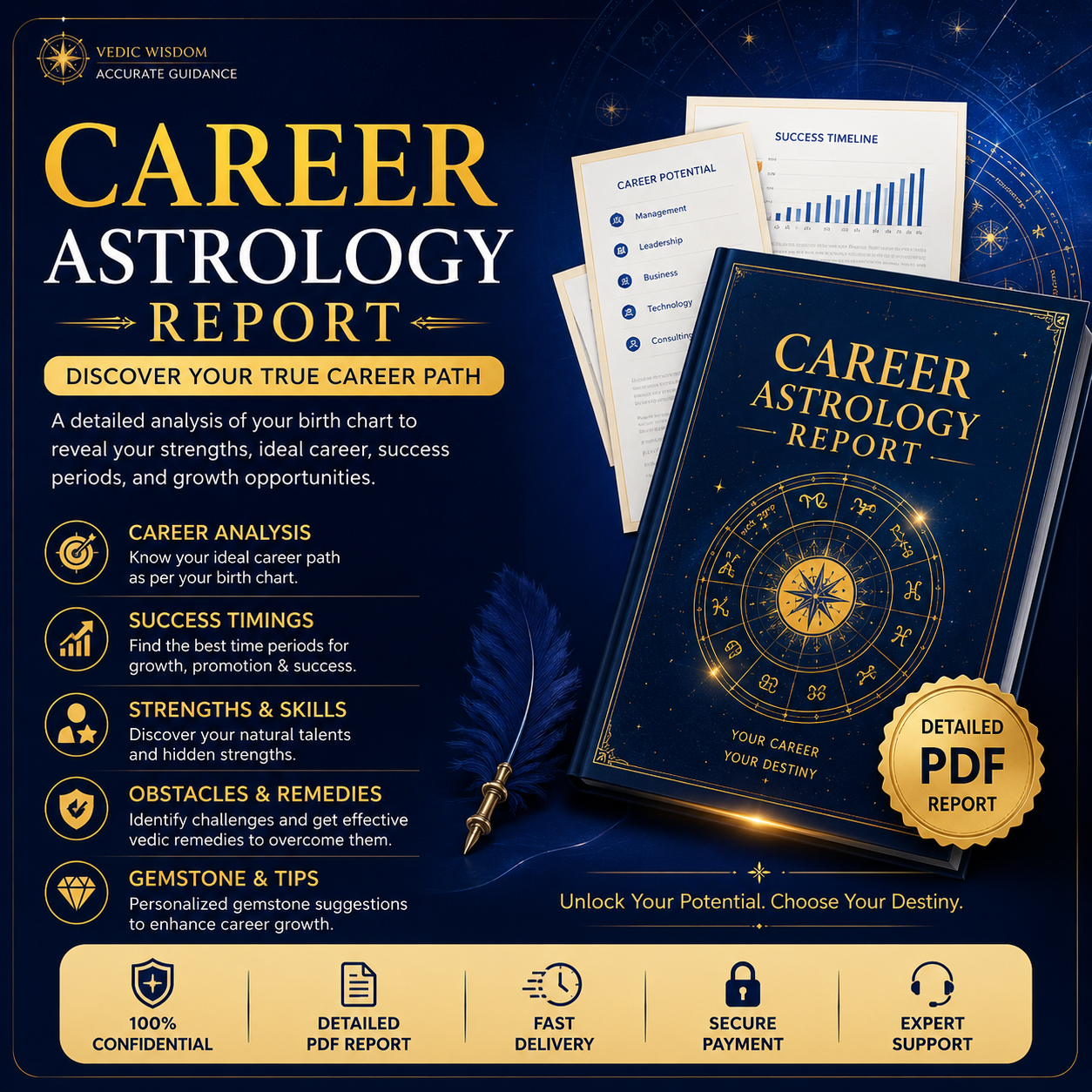 Career Report