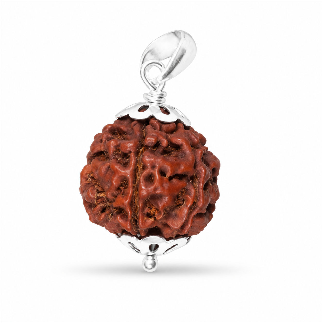 6 Mukhi Rudraksh