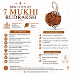 7 Mukhi Rudraksh