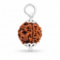 4 mukhi Rudraksh
