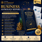 Business Report