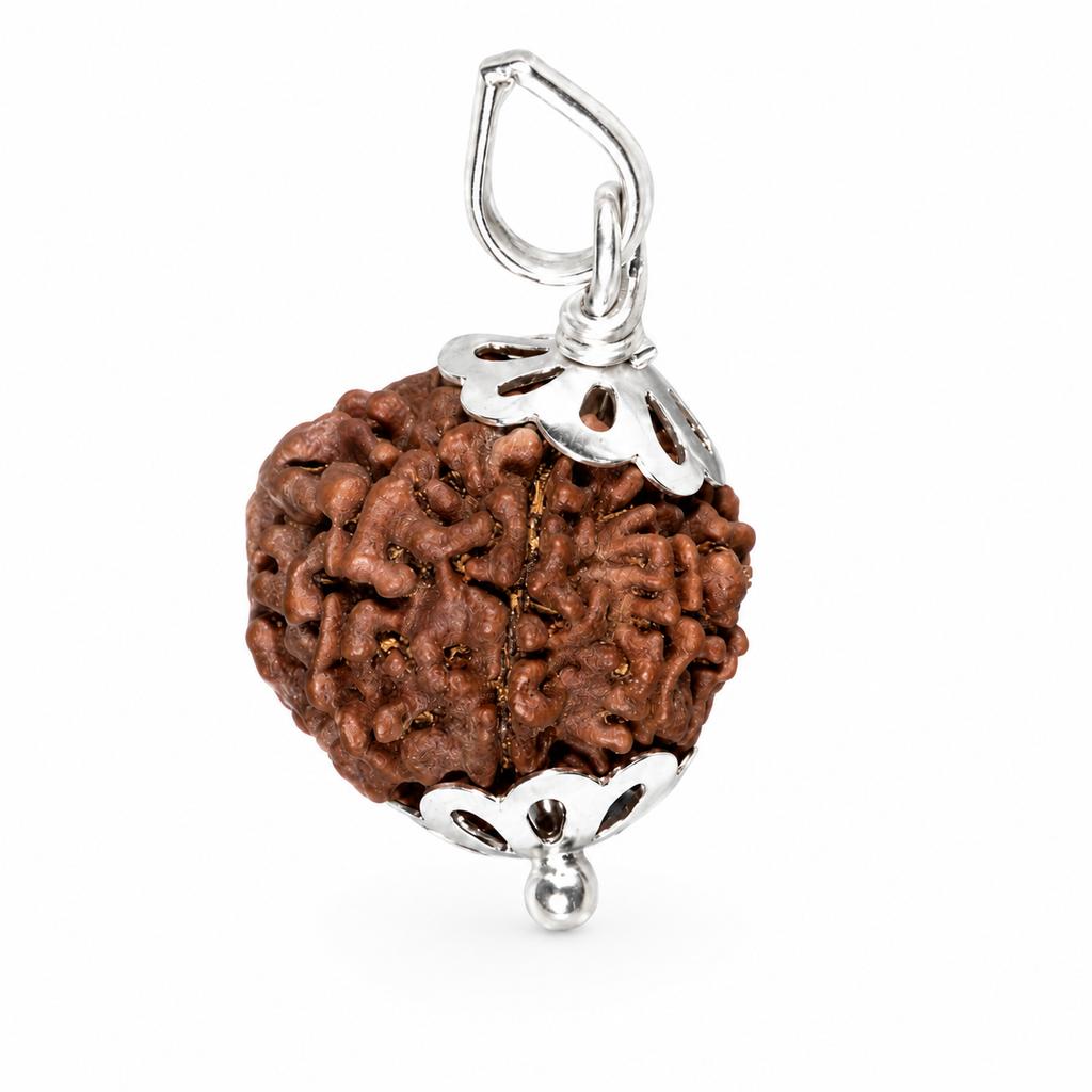 8 Mukhi