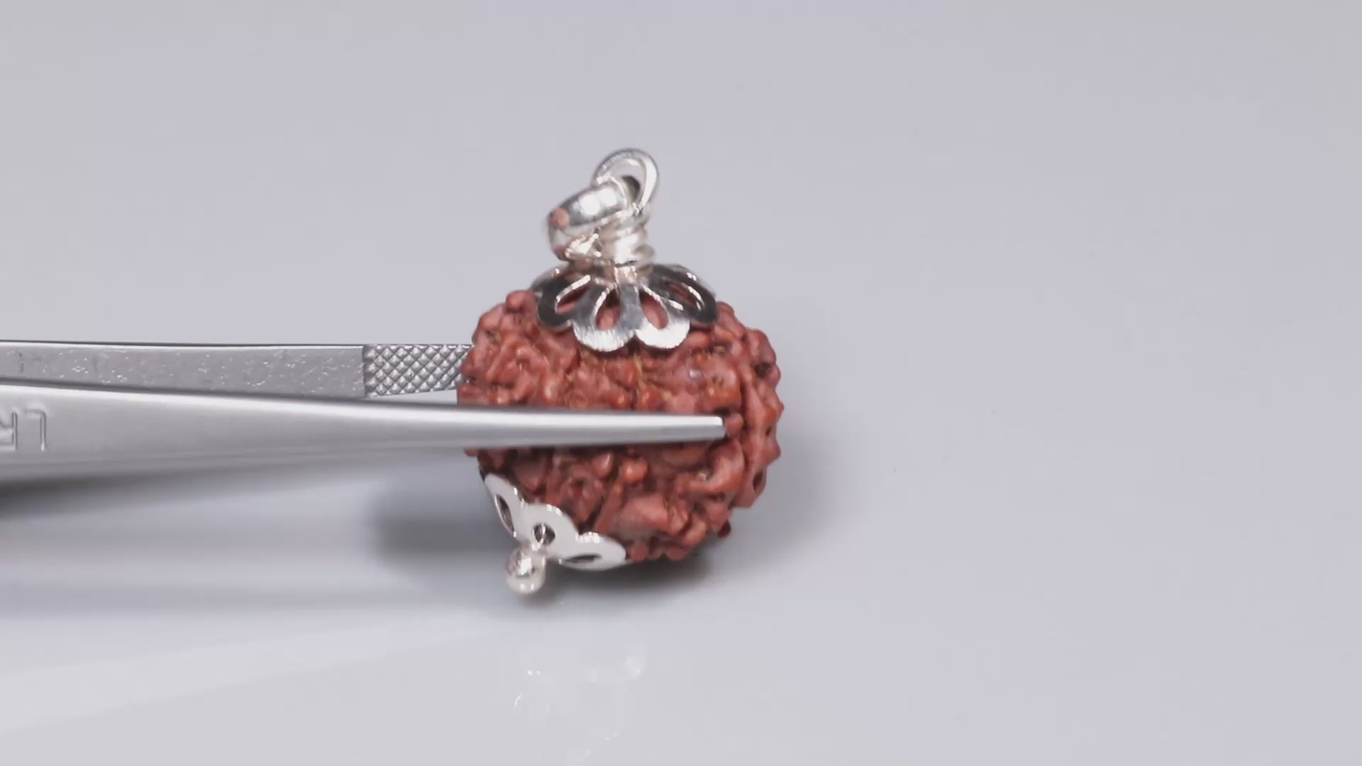 8 Mukhi