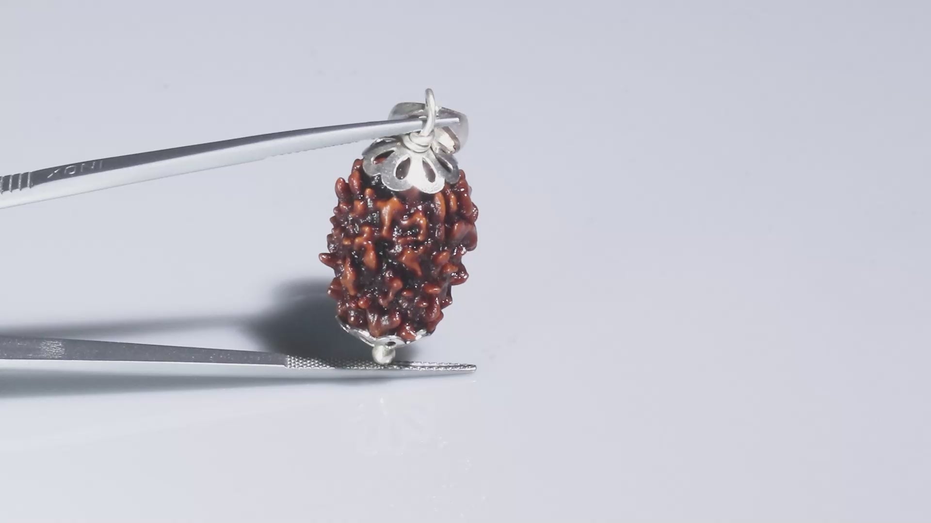 3 Mukhi Rudraksh